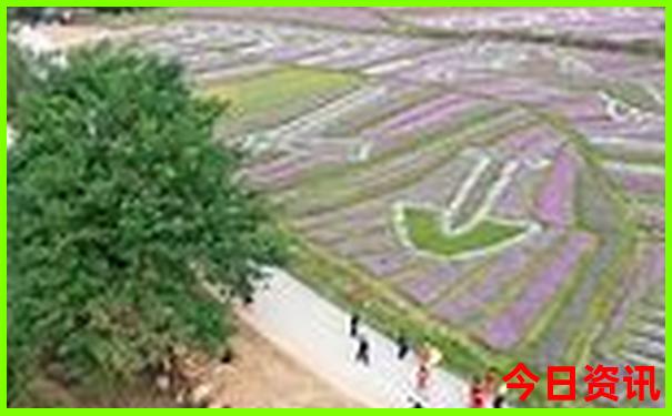 鹤壁有什么好玩的地方旅游景点
